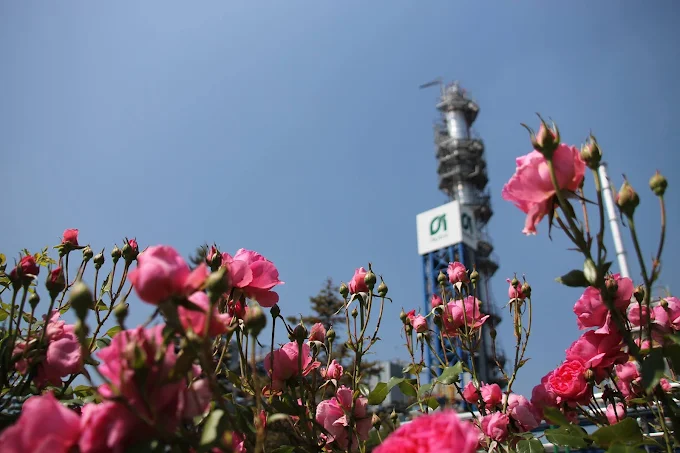 Offshore oil platform